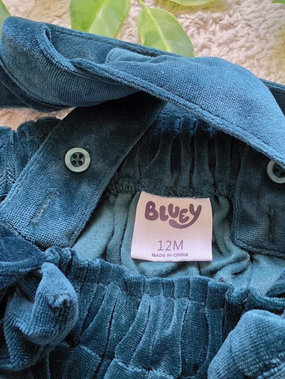 Bluey excellent isn